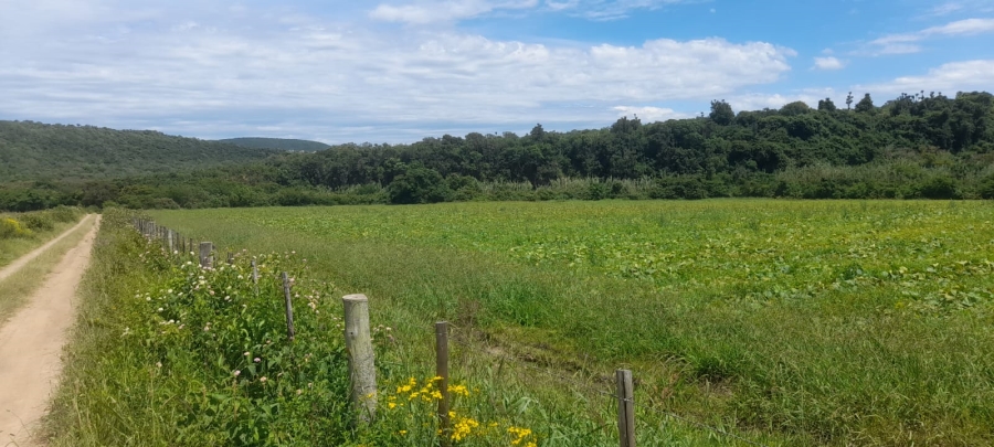 Commercial Property for Sale in Komga Rural Eastern Cape
